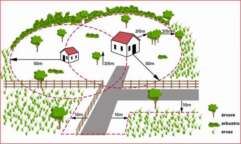 Limpezas das Florestas e Terrenos